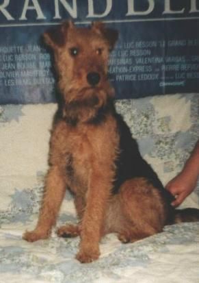 Maggie des Brâlons